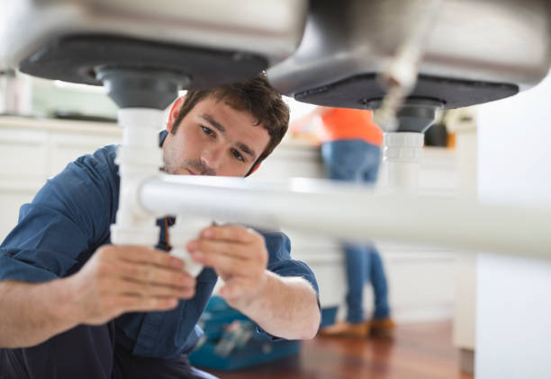 Best Clogged Drain Plumber  in Genesee, ID